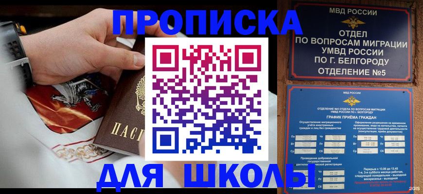 пропишу в квартире в Стародубе